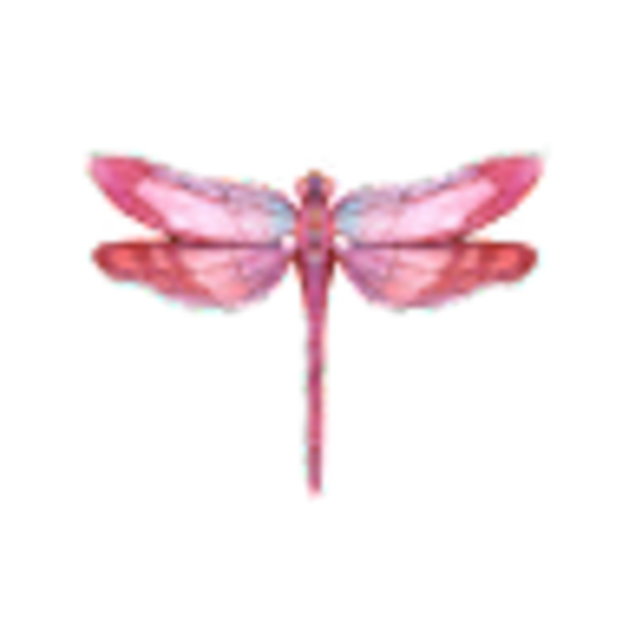 hdkdragonfly